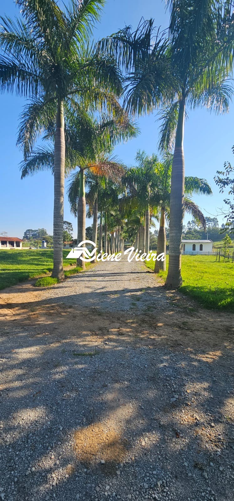 Chácara, 4 quartos, 24 hectares - Foto 18