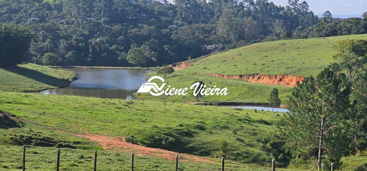 Chácara, 4 quartos, 24 hectares - Foto 12