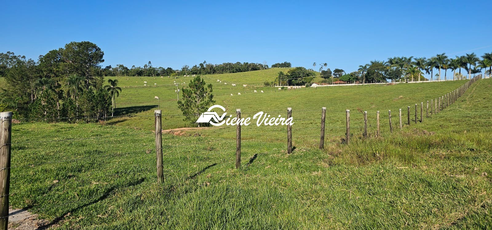 Chácara, 4 quartos, 24 hectares - Foto 15