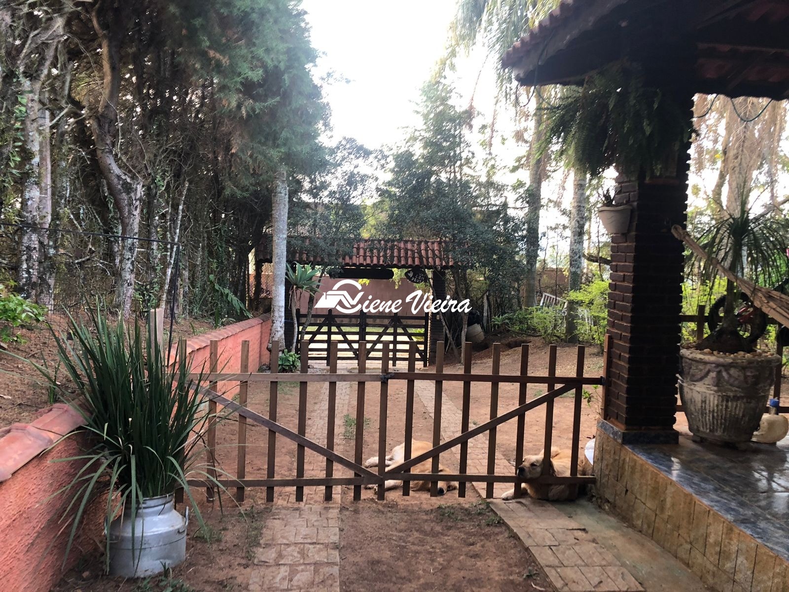 Chácara, 4 quartos, 2220 m² - Foto 12
