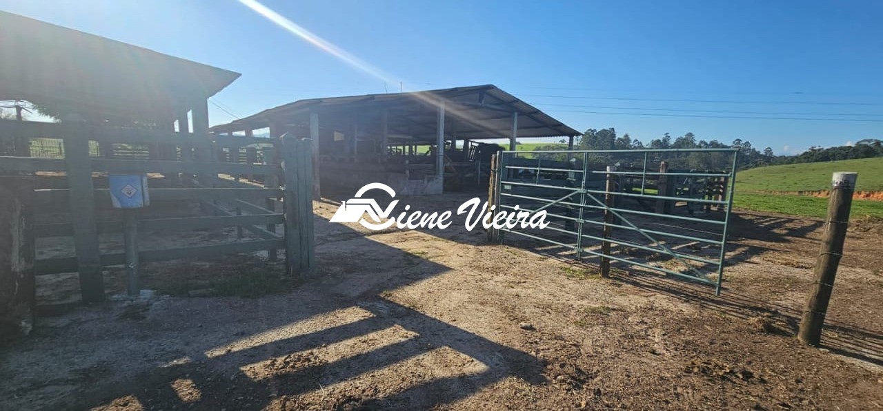 Chácara, 4 quartos, 24 hectares - Foto 28