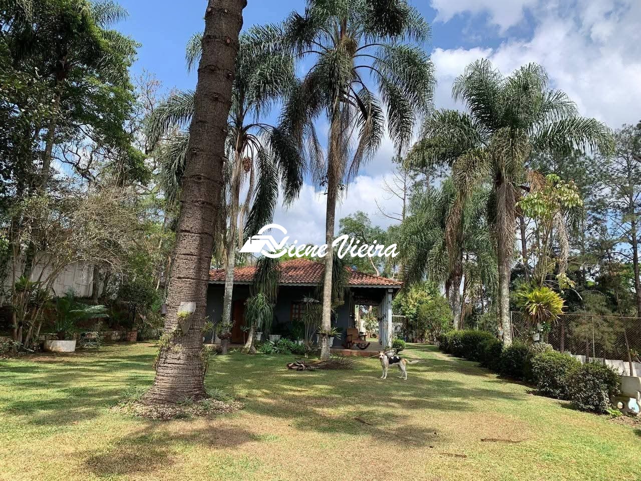 Chácara, 3 quartos, 4000 m² - Foto 3