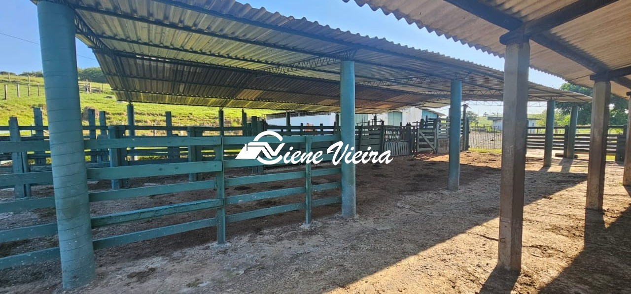 Chácara, 4 quartos, 24 hectares - Foto 26