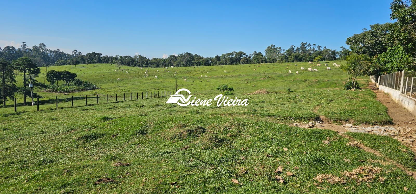 Chácara, 4 quartos, 24 hectares - Foto 13