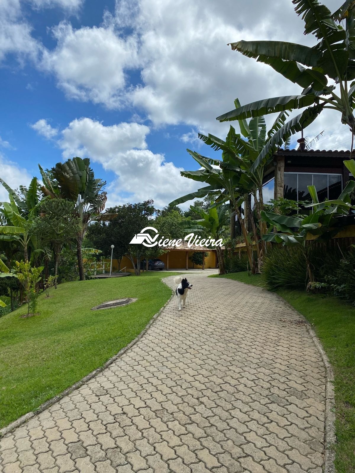 Chácara, 3 quartos, 6500 m² - Foto 6