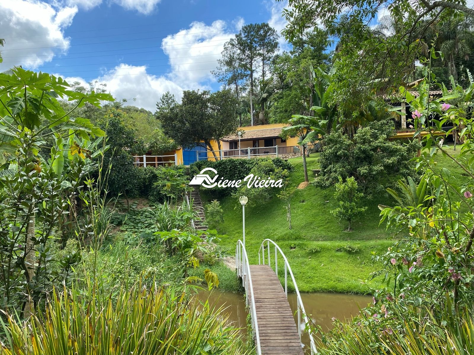 Chácara, 3 quartos, 6500 m² - Foto 7