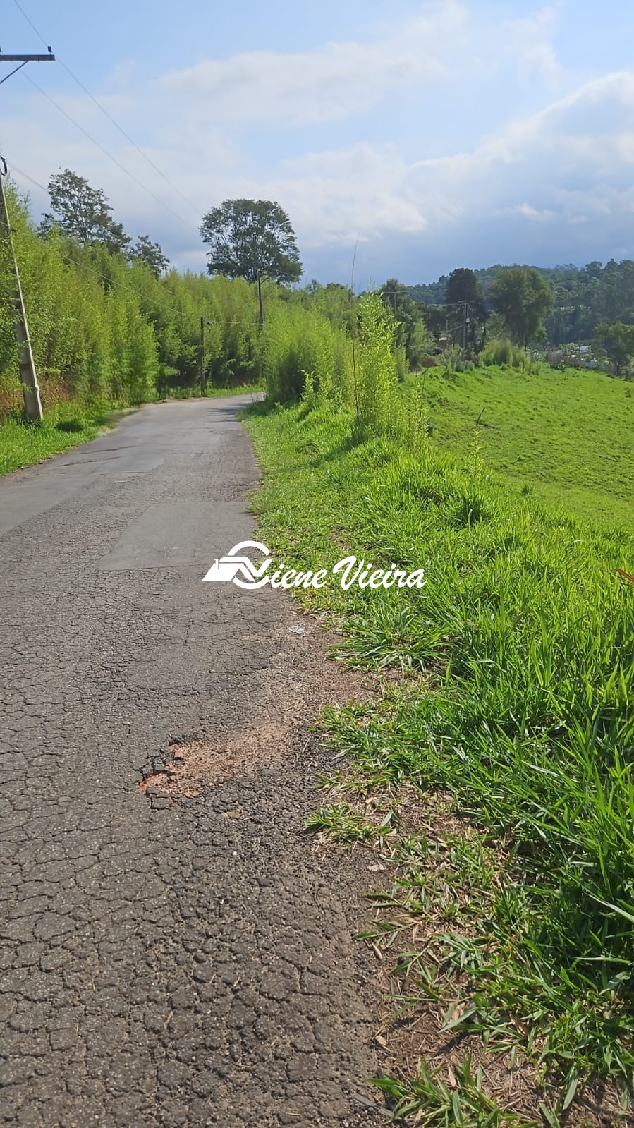 Terreno, 5000 m² - Foto 6