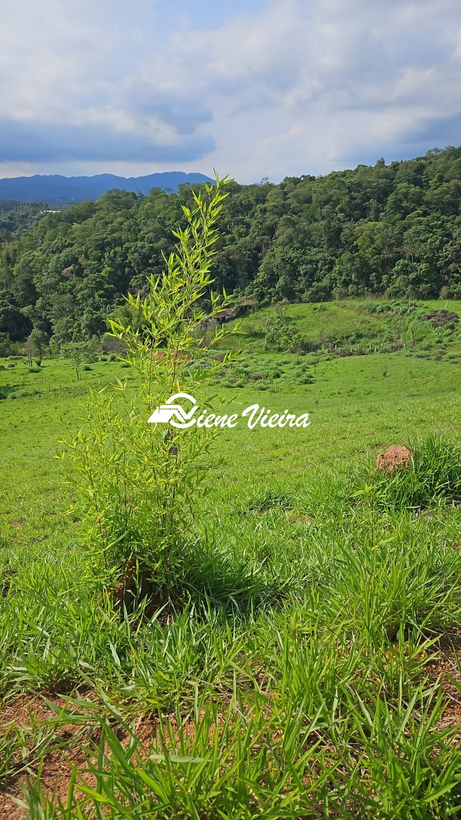 Terreno, 5000 m² - Foto 2