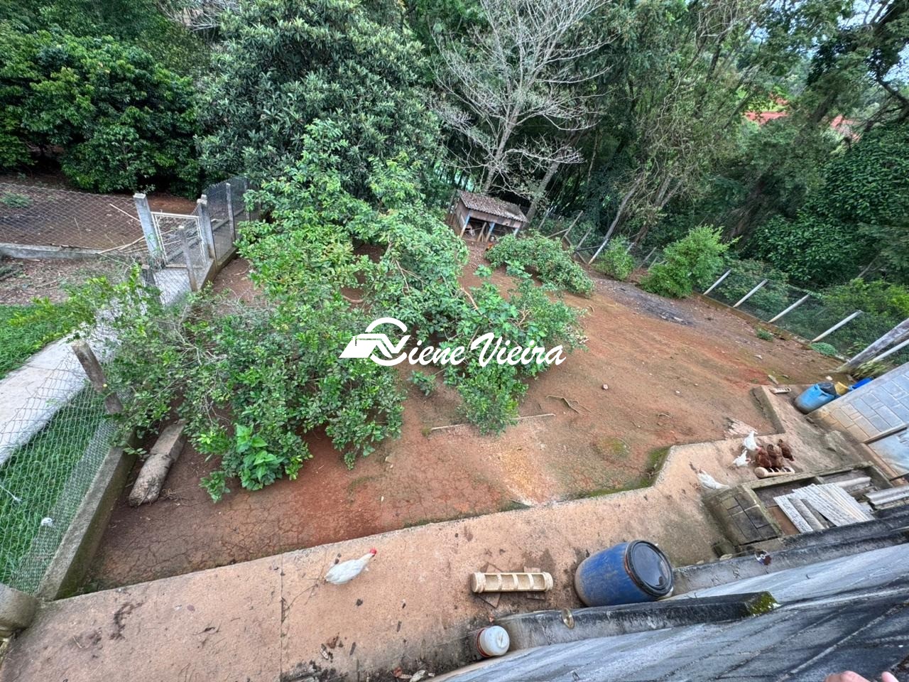 Chácara, 2 quartos, 4034 m² - Foto 12