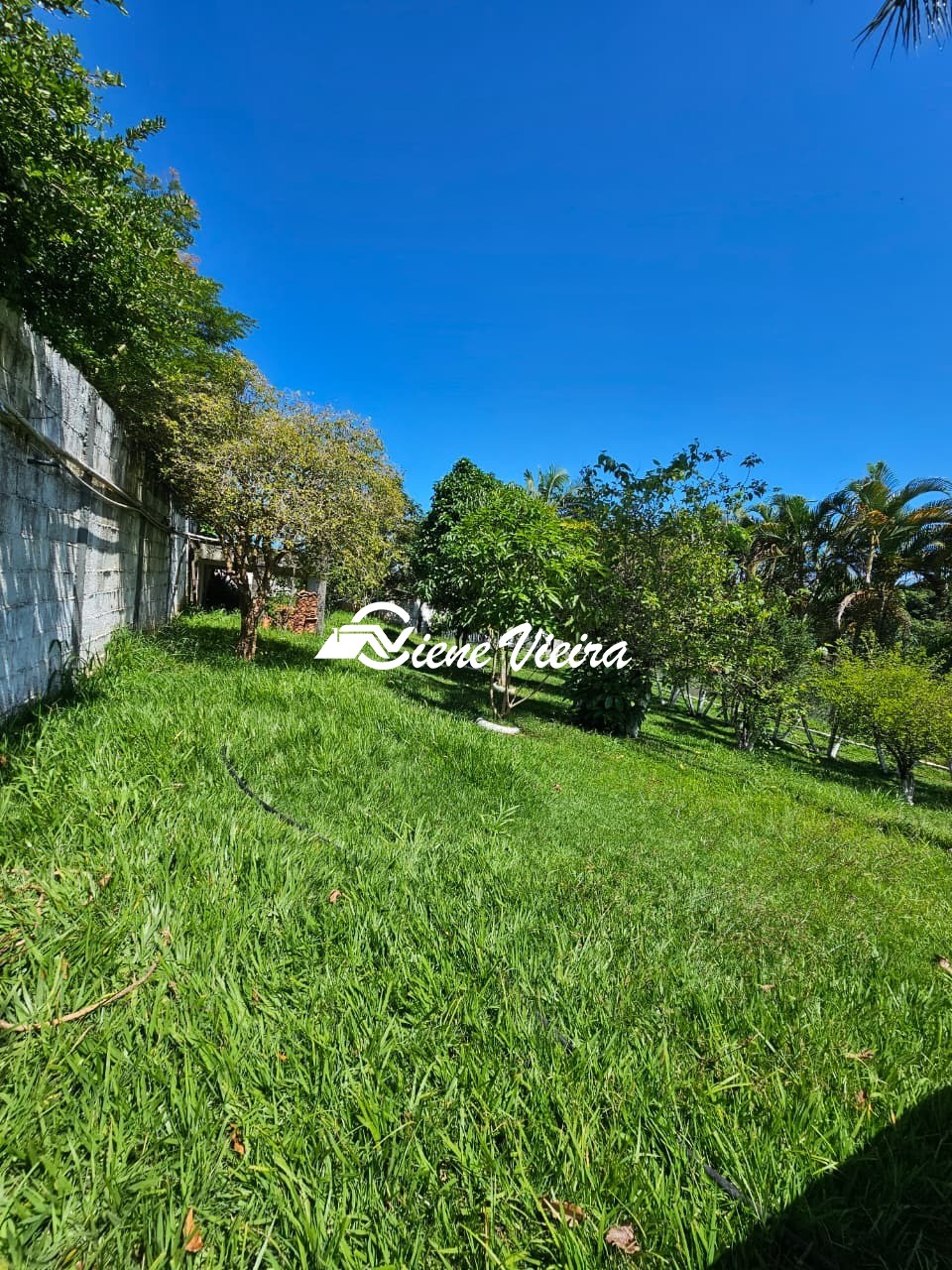 Chácara, 3 quartos, 1400 m² - Foto 8