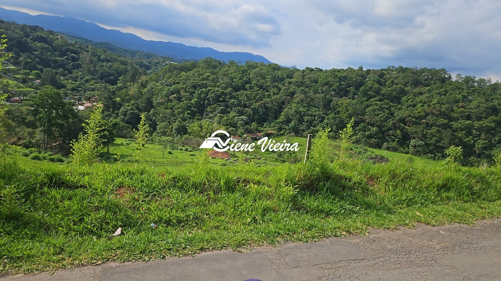 Terreno, 5000 m² - Foto 5