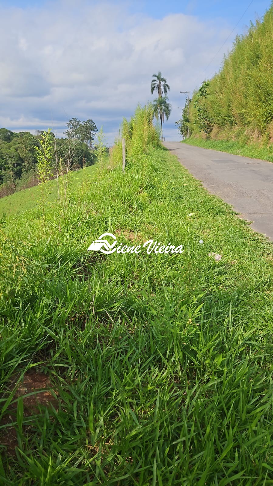 Terreno, 5000 m² - Foto 7