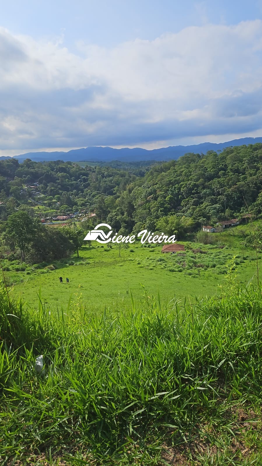 Terreno, 5000 m² - Foto 3