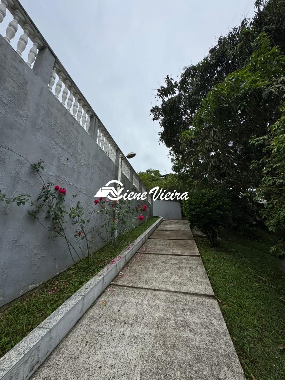 Chácara, 2 quartos, 4034 m² - Foto 11