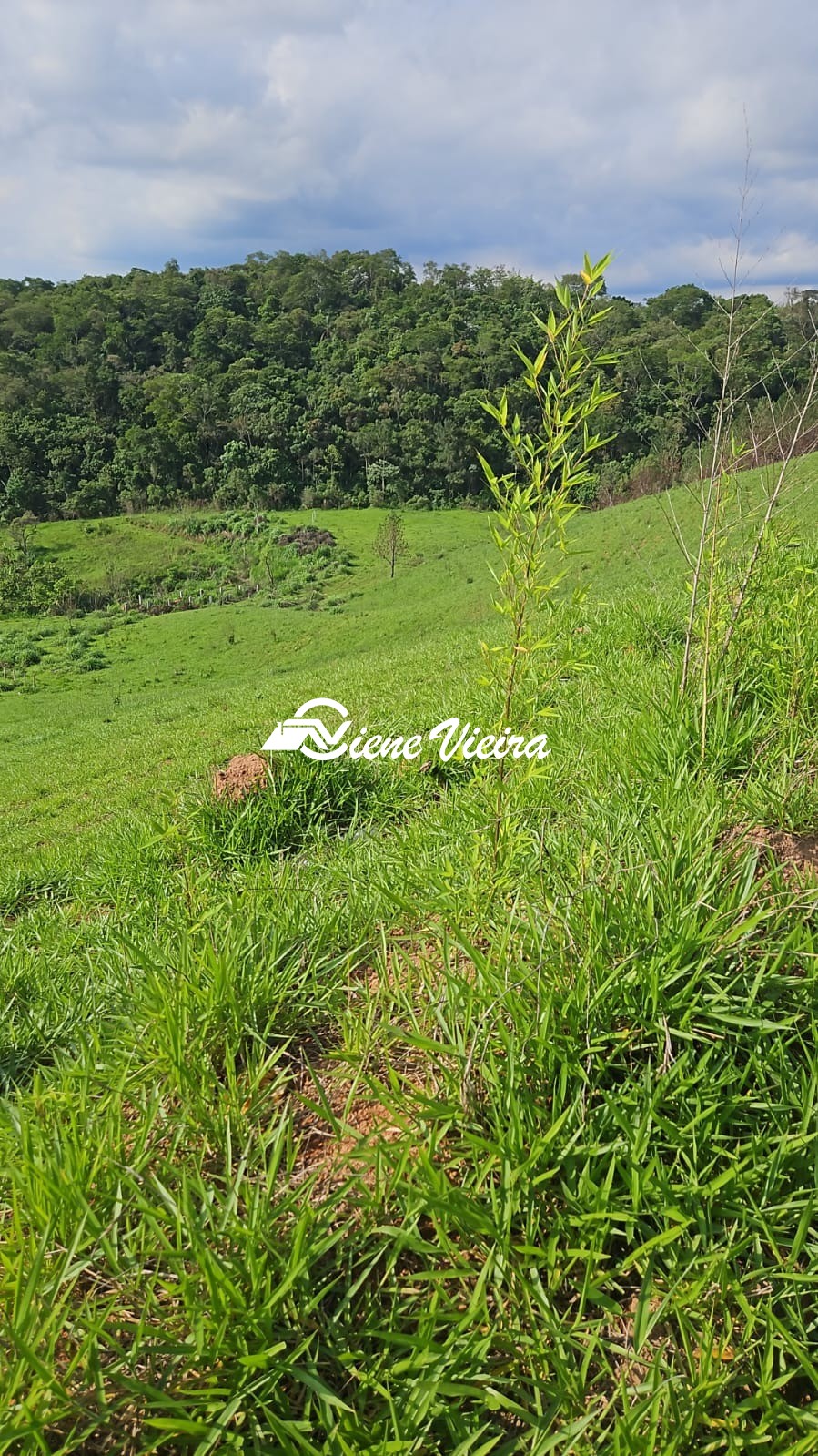 Terreno, 5000 m² - Foto 1