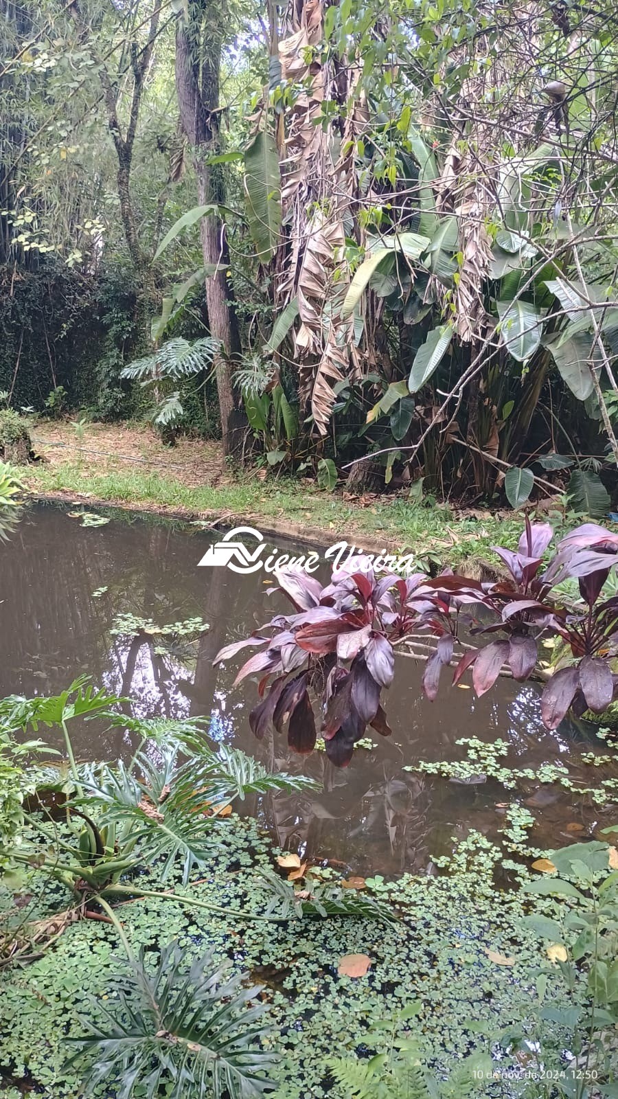 Chácara, 3 quartos, 5000 m² - Foto 55