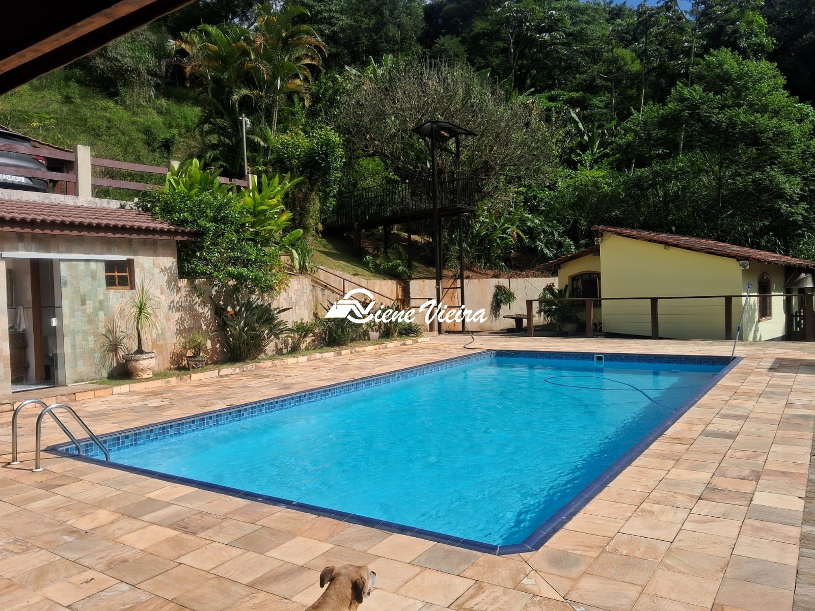 Chácara, 3 quartos, 5000 m² - Foto 16