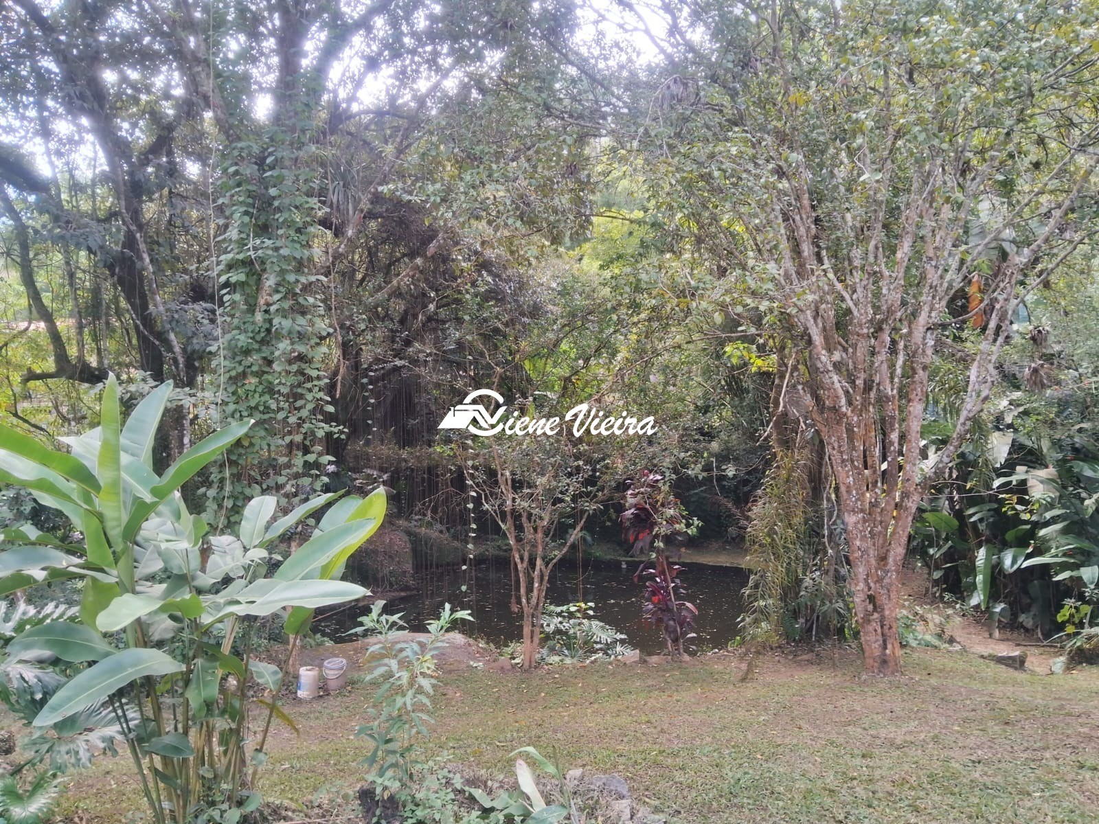 Chácara, 3 quartos, 5000 m² - Foto 58