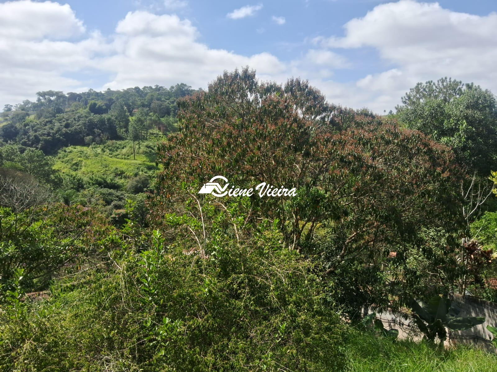 Chácara, 3 quartos, 5000 m² - Foto 23