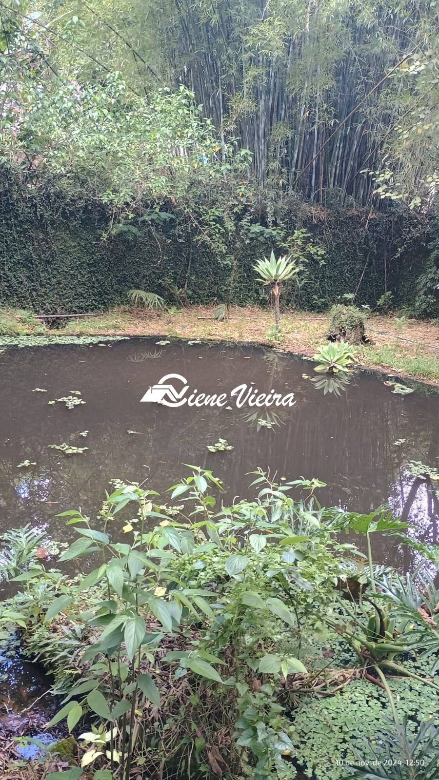 Chácara, 3 quartos, 5000 m² - Foto 47