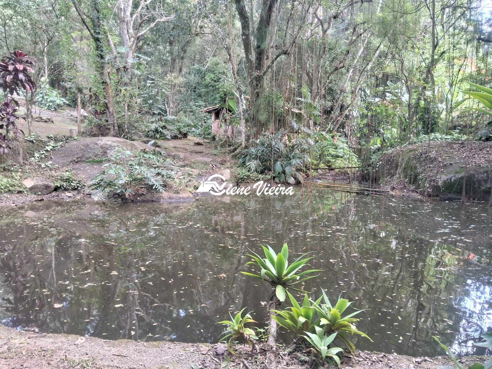 Chácara, 3 quartos, 5000 m² - Foto 59