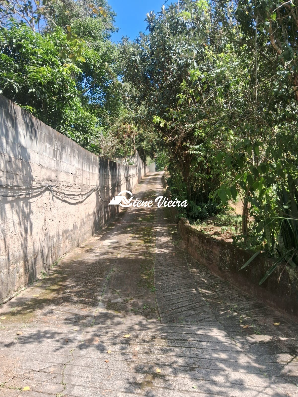 Chácara, 3 quartos, 5000 m² - Foto 62