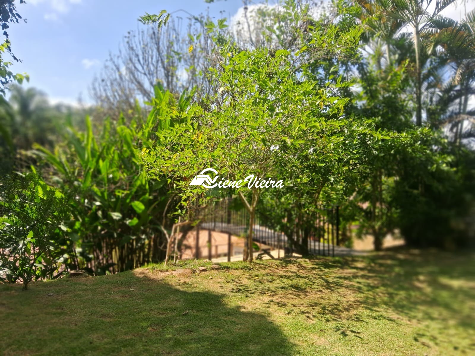 Chácara, 3 quartos, 5000 m² - Foto 32