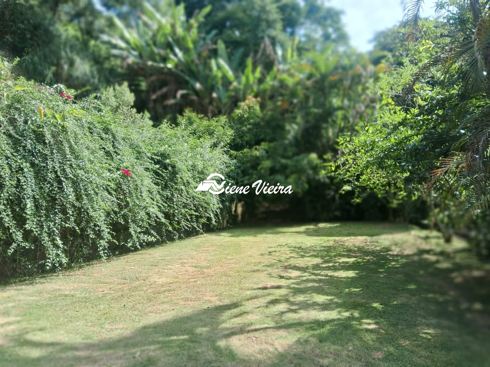 Chácara, 3 quartos, 5000 m² - Foto 34