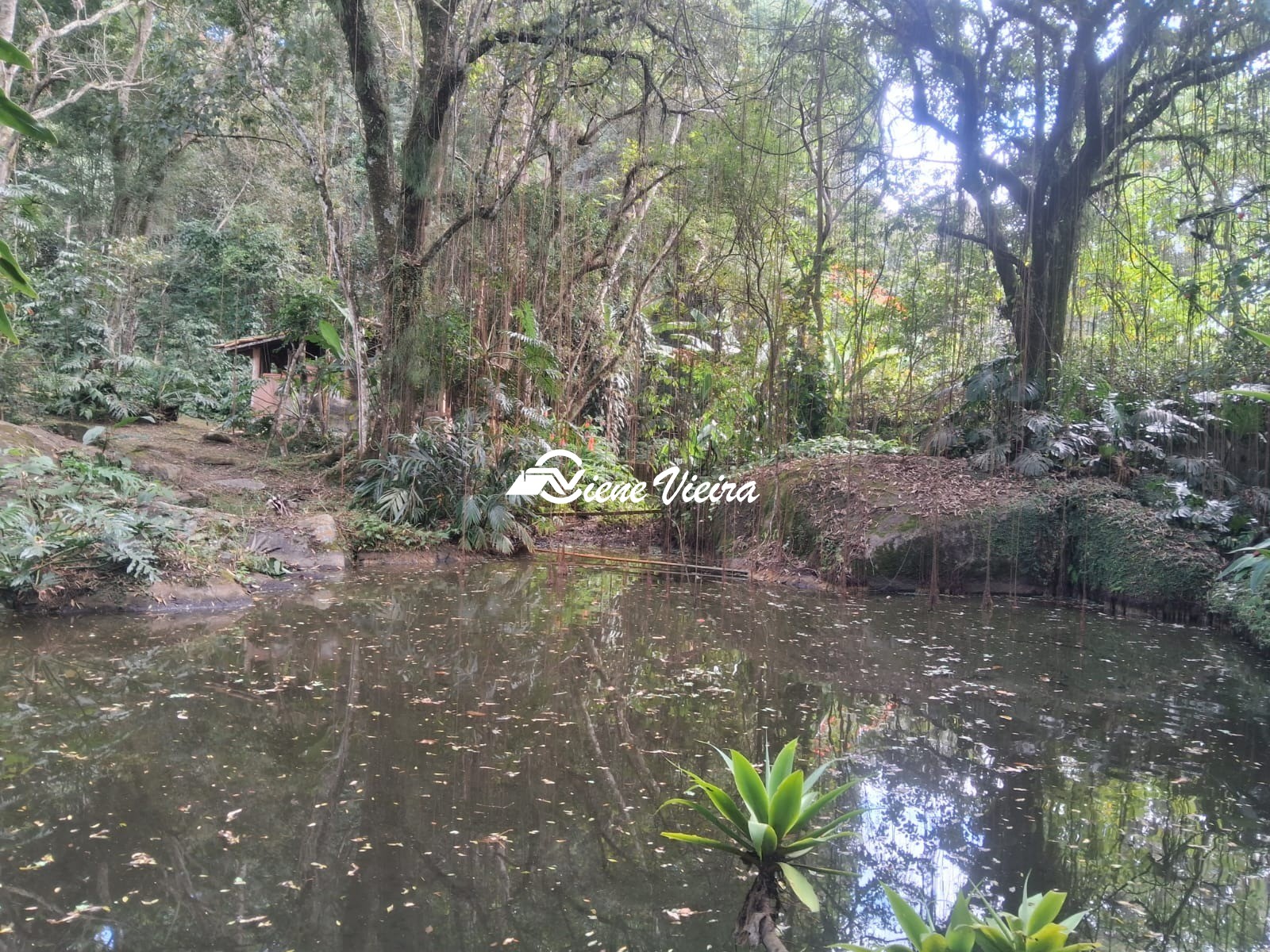 Chácara, 3 quartos, 5000 m² - Foto 56