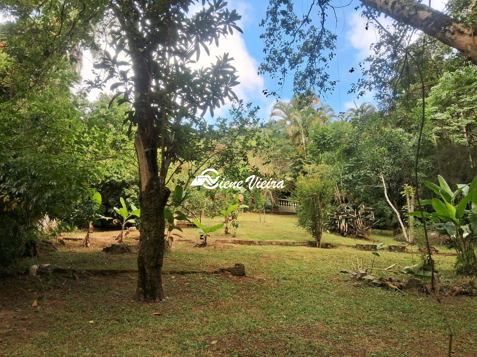 Chácara, 3 quartos, 5000 m² - Foto 61