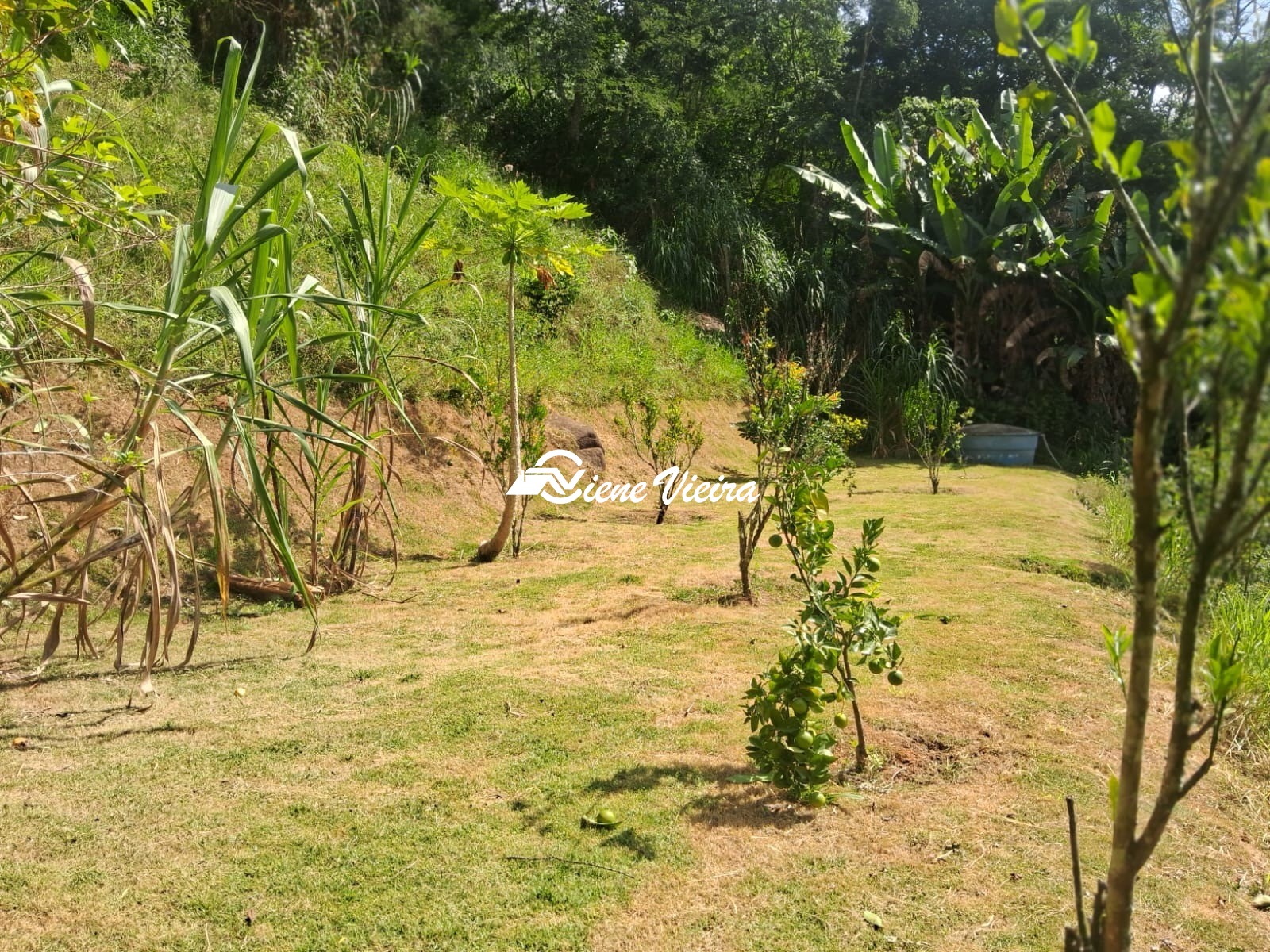 Chácara, 3 quartos, 5000 m² - Foto 24