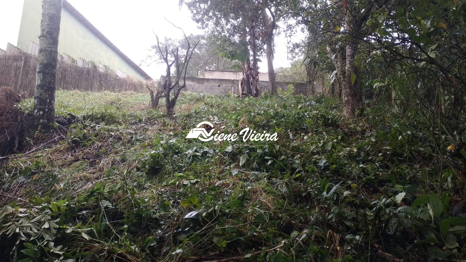 Terreno, 600 m² - Foto 6