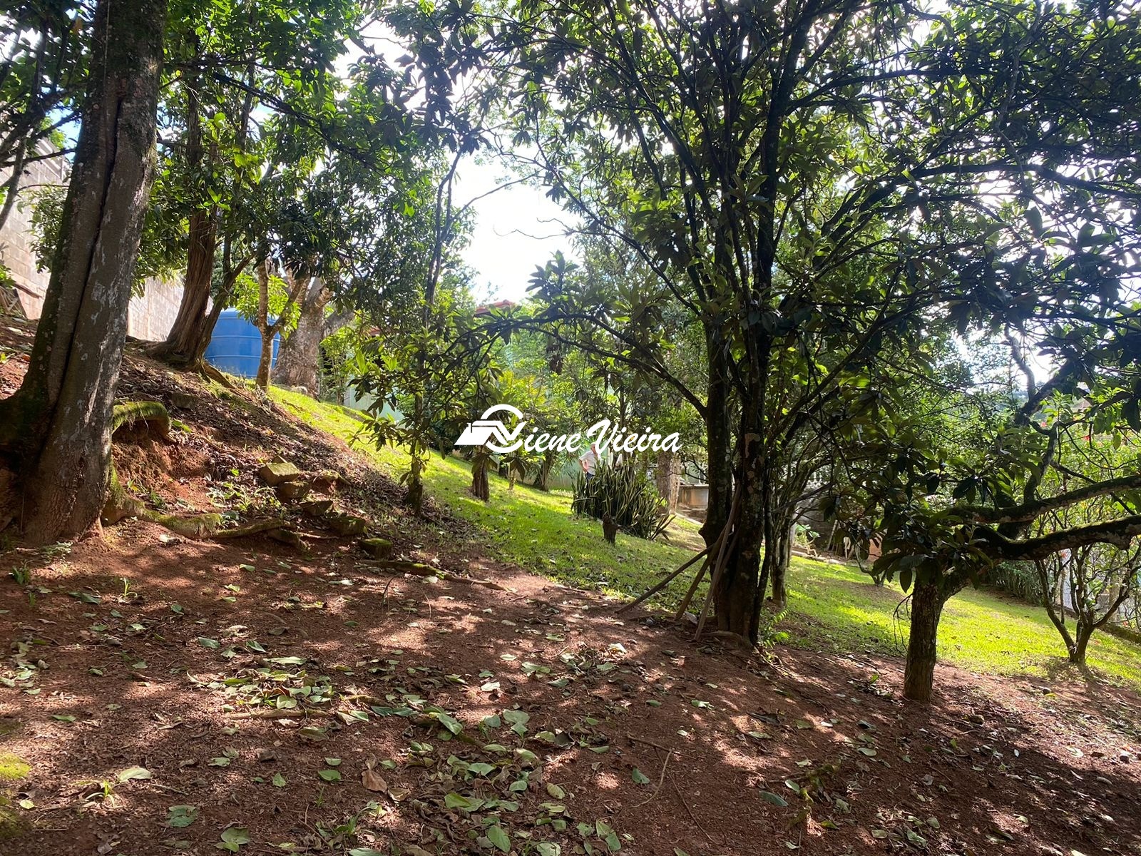 Chácara, 2 quartos, 2000 m² - Foto 6