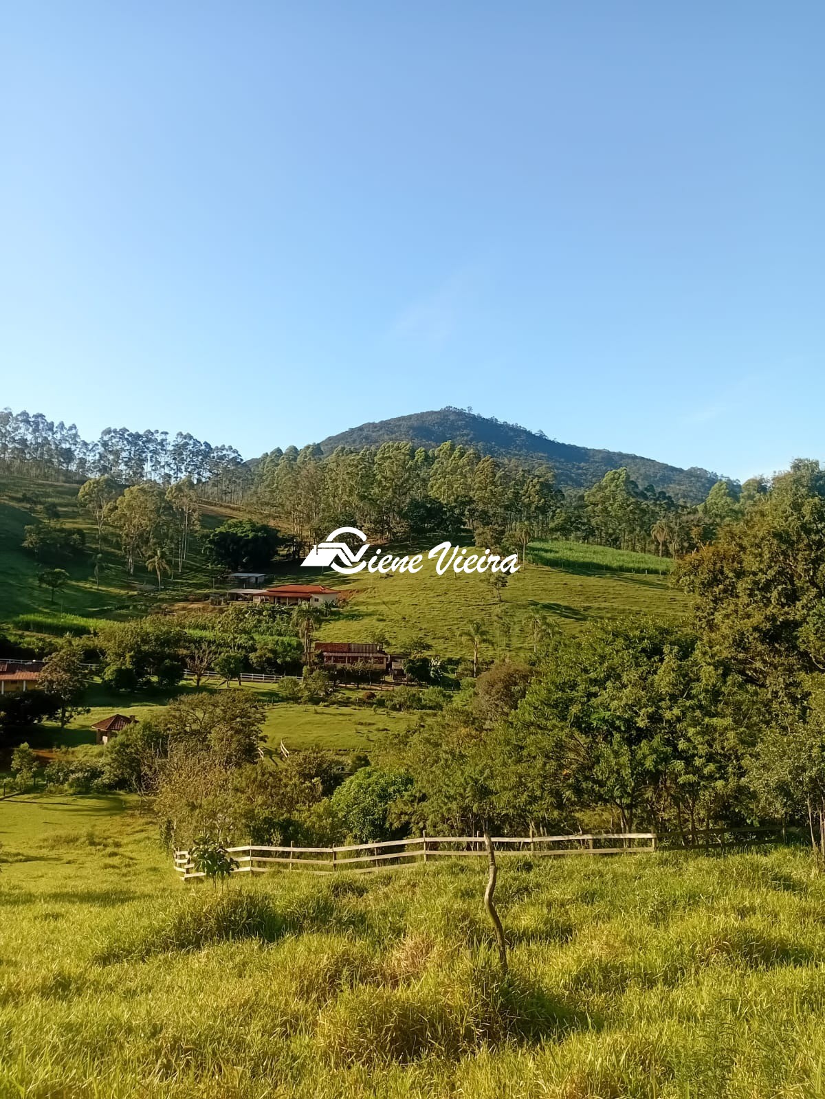 Chácara, 2 quartos, 2 hectares - Foto 31