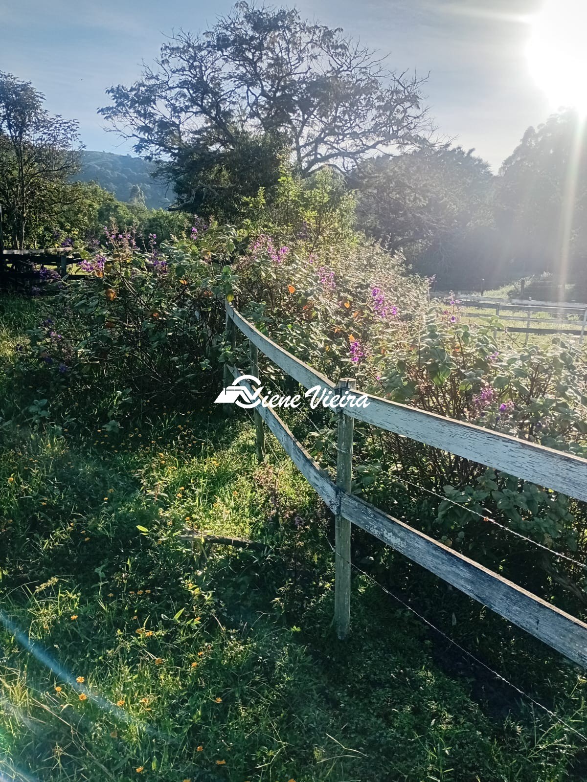 Chácara, 2 quartos, 2 hectares - Foto 8