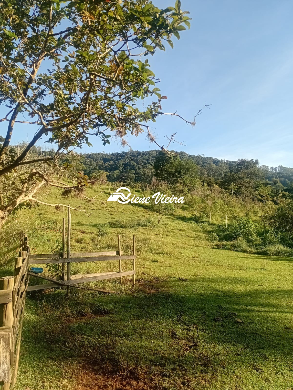 Chácara, 2 quartos, 2 hectares - Foto 45