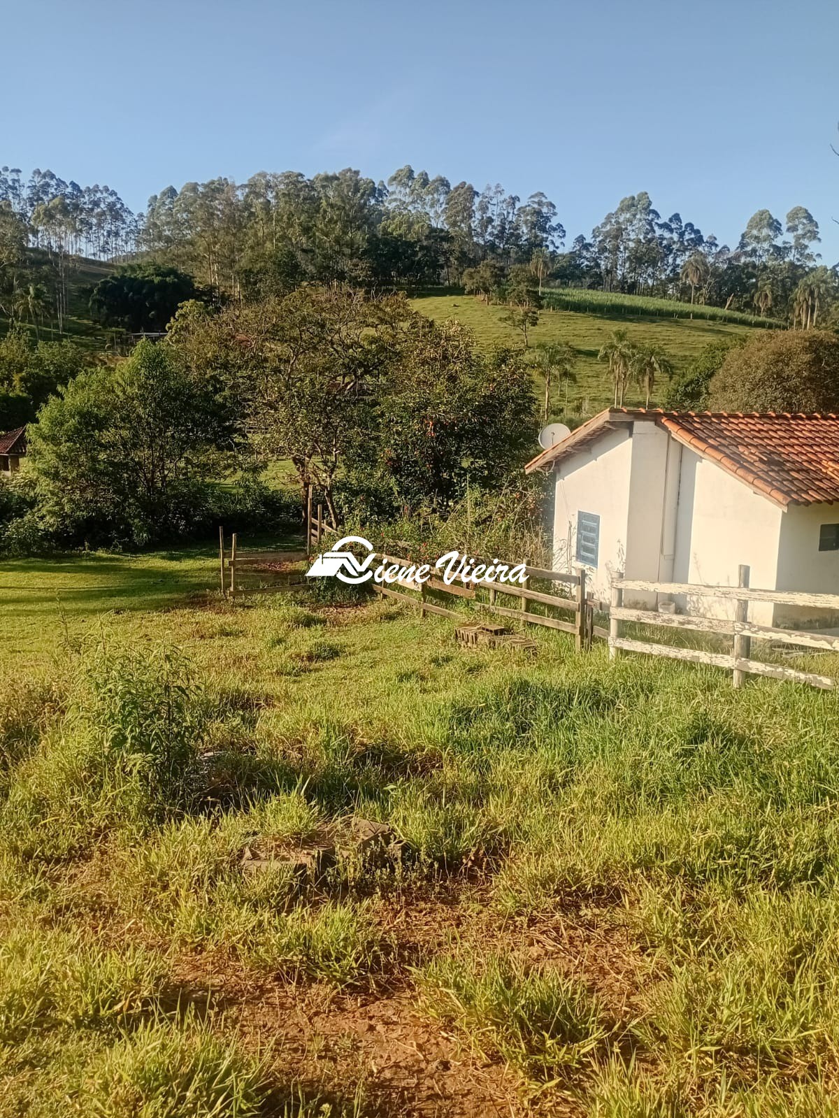 Chácara, 2 quartos, 2 hectares - Foto 39