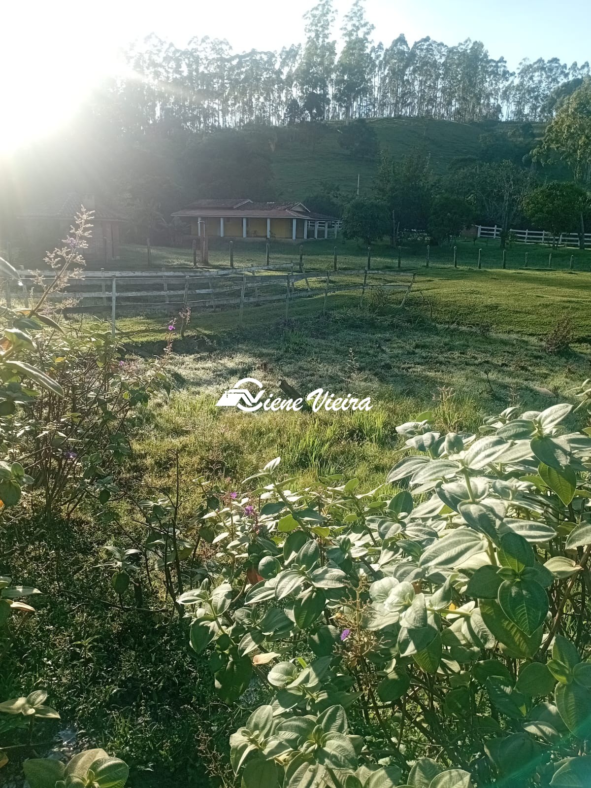 Chácara, 2 quartos, 2 hectares - Foto 10