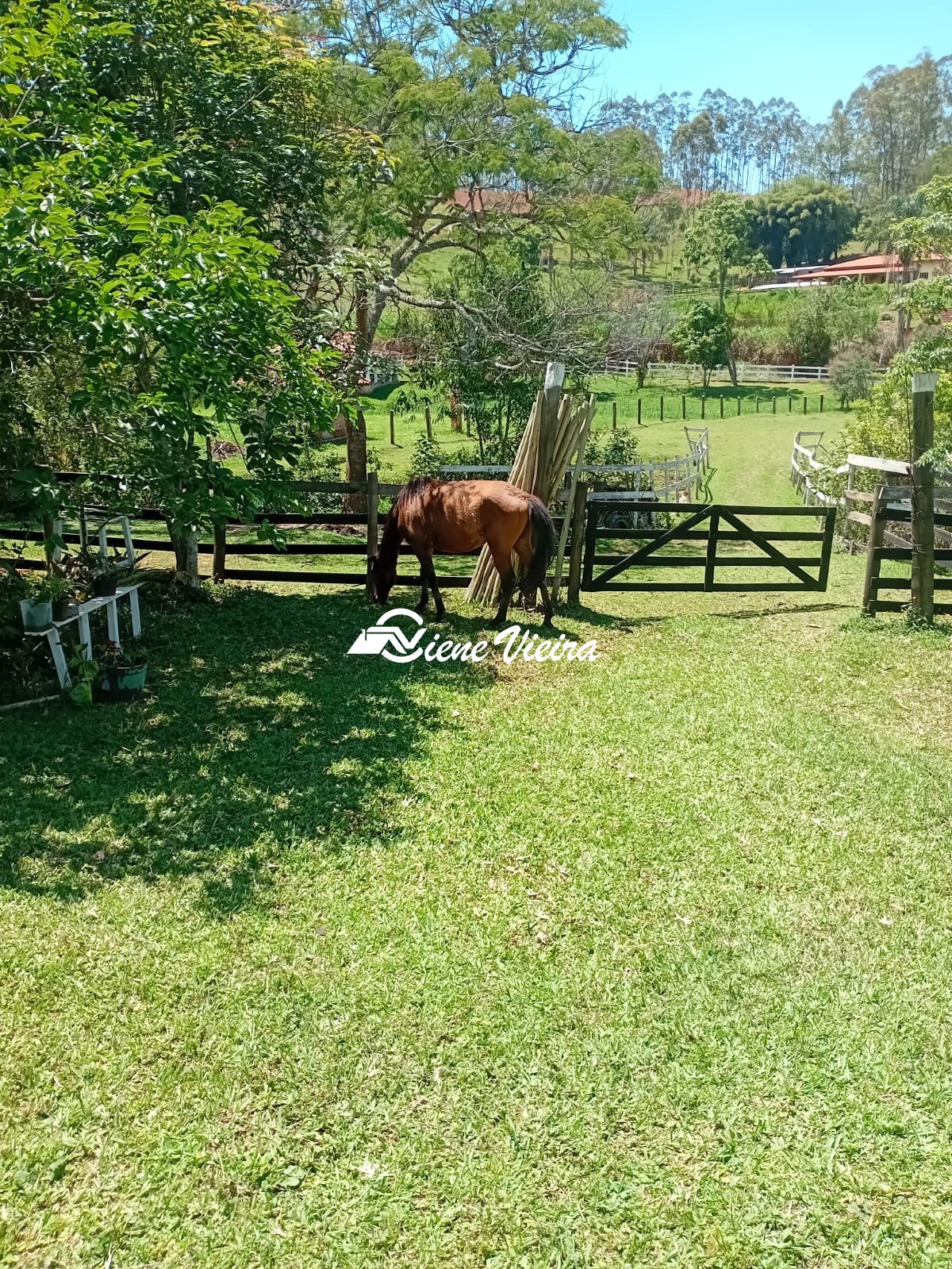 Chácara, 2 quartos, 2 hectares - Foto 25
