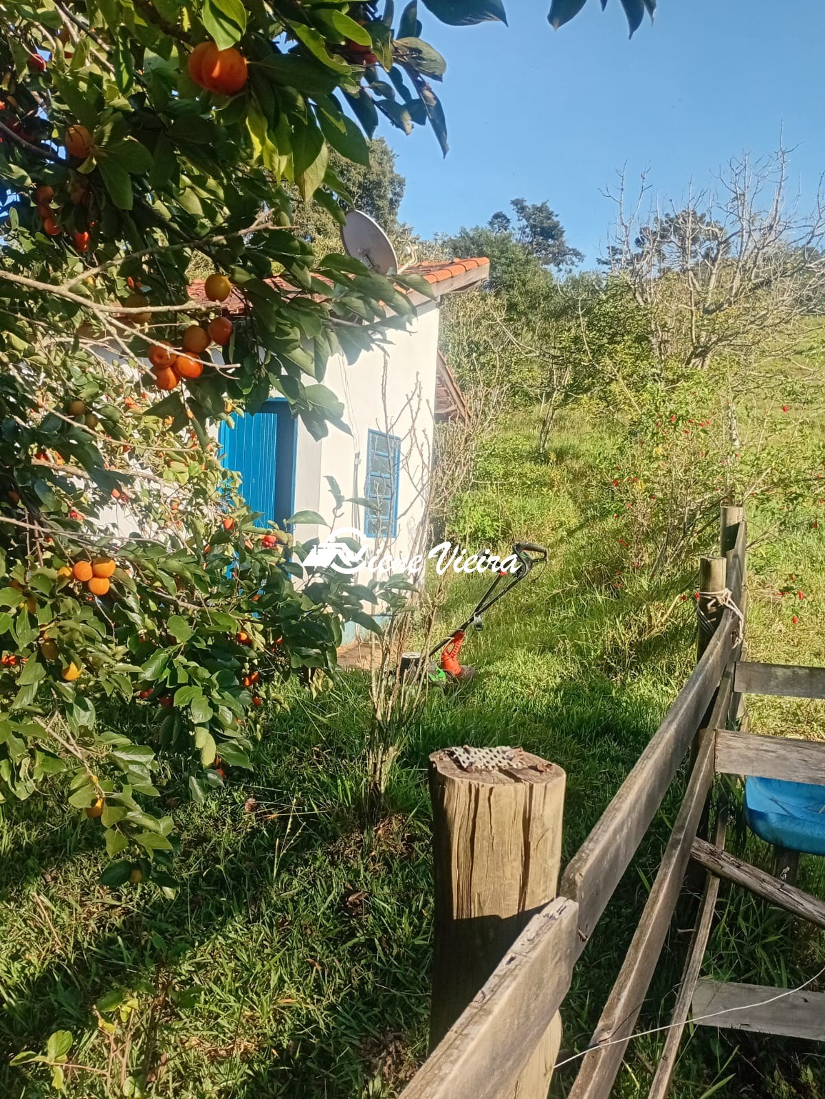 Chácara, 2 quartos, 2 hectares - Foto 40