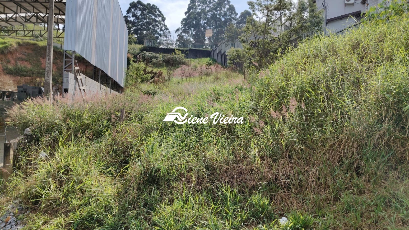 Loteamento e Condomínio, 1000 m² - Foto 3