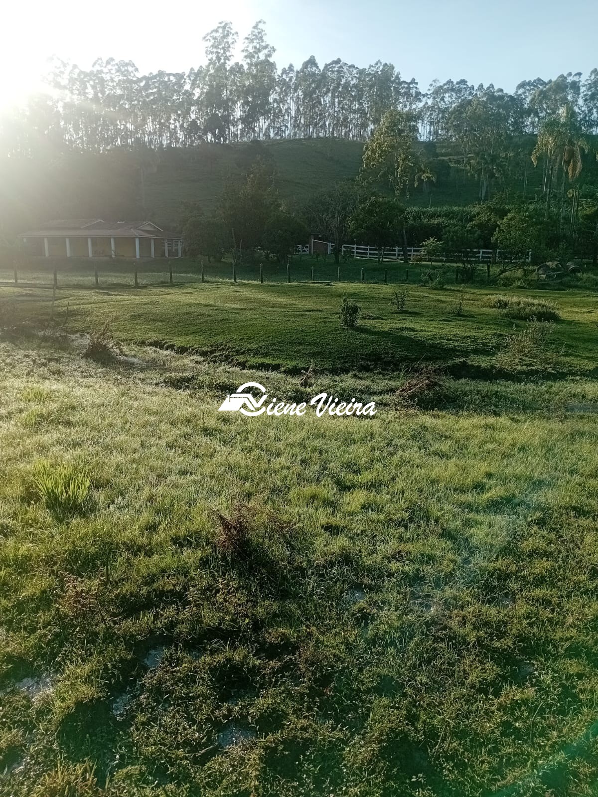 Chácara, 2 quartos, 2 hectares - Foto 12