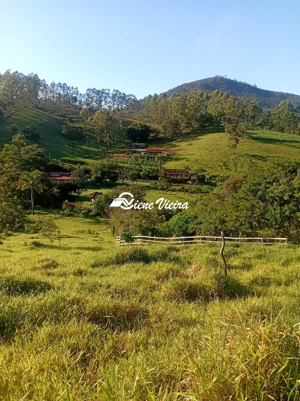 Chácara, 2 quartos, 2 hectares - Foto 33