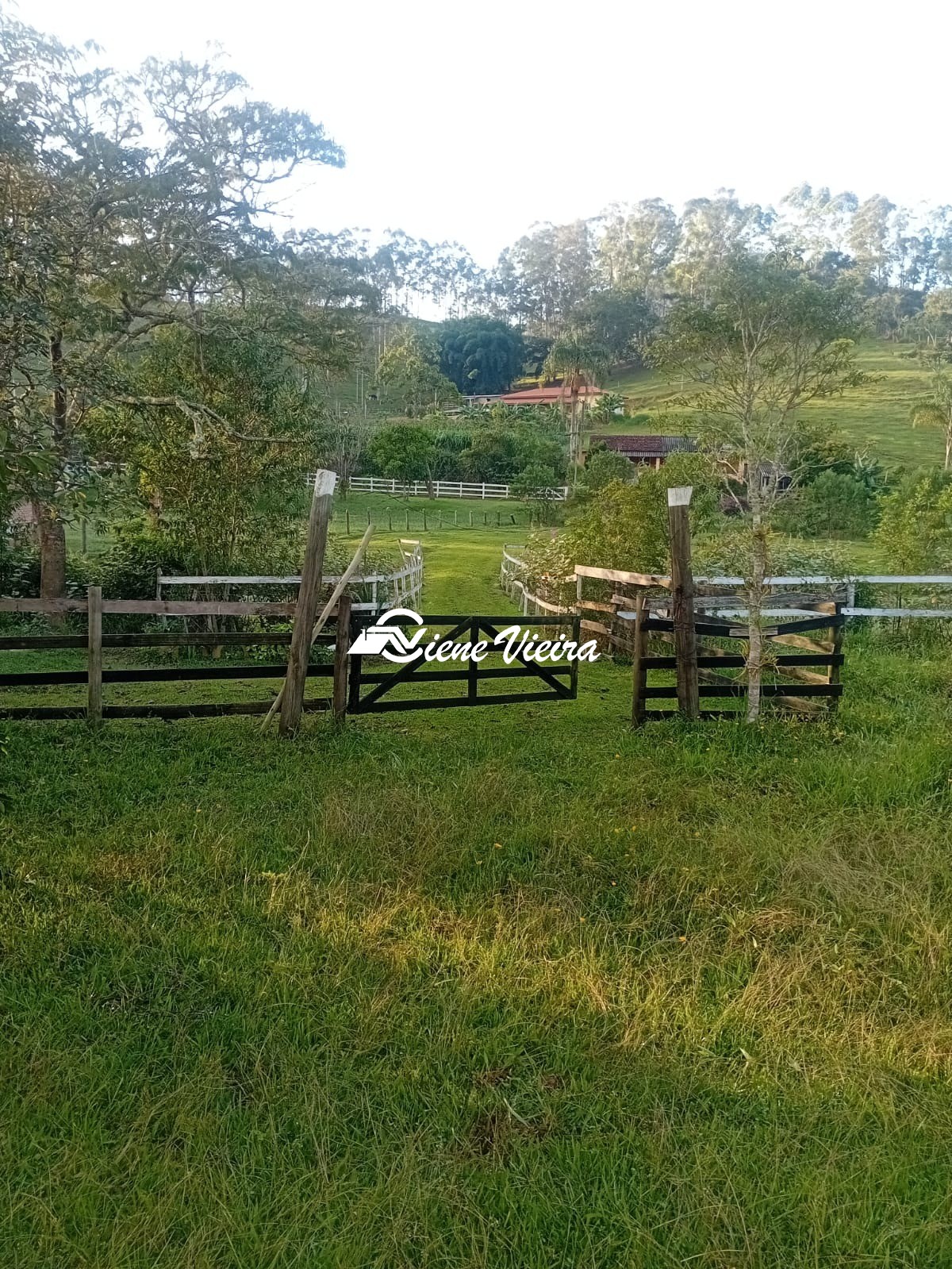 Chácara, 2 quartos, 2 hectares - Foto 24