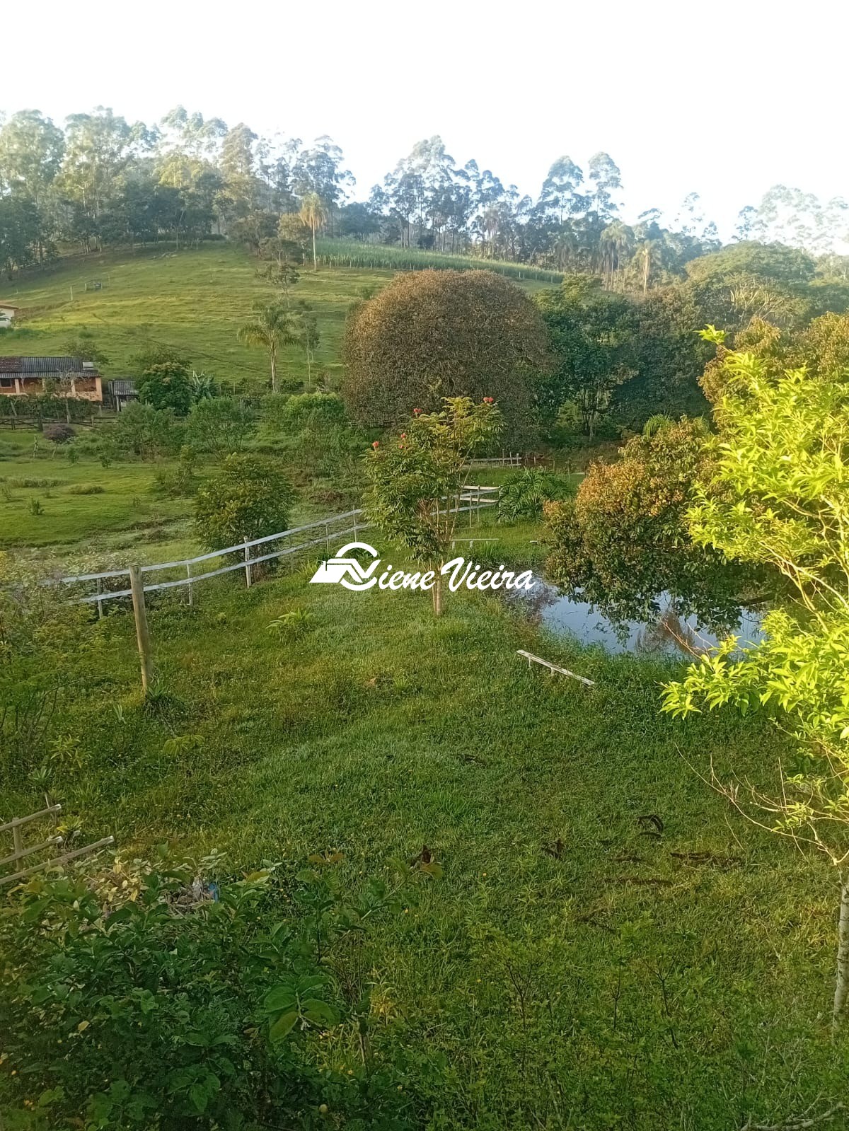 Chácara, 2 quartos, 2 hectares - Foto 19
