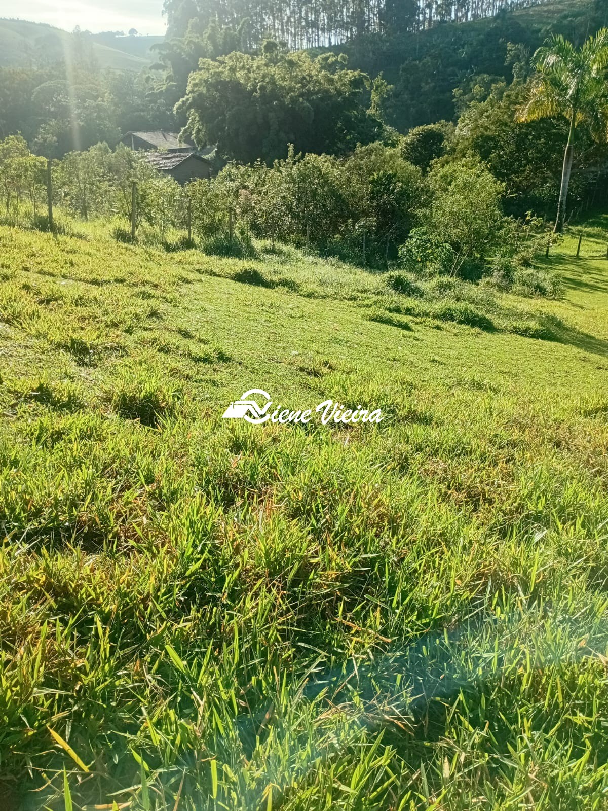 Chácara, 2 quartos, 2 hectares - Foto 36