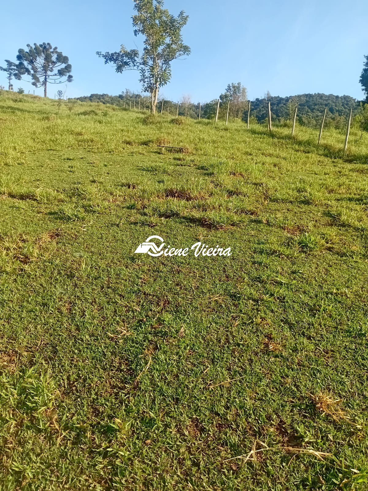 Chácara, 2 quartos, 2 hectares - Foto 37