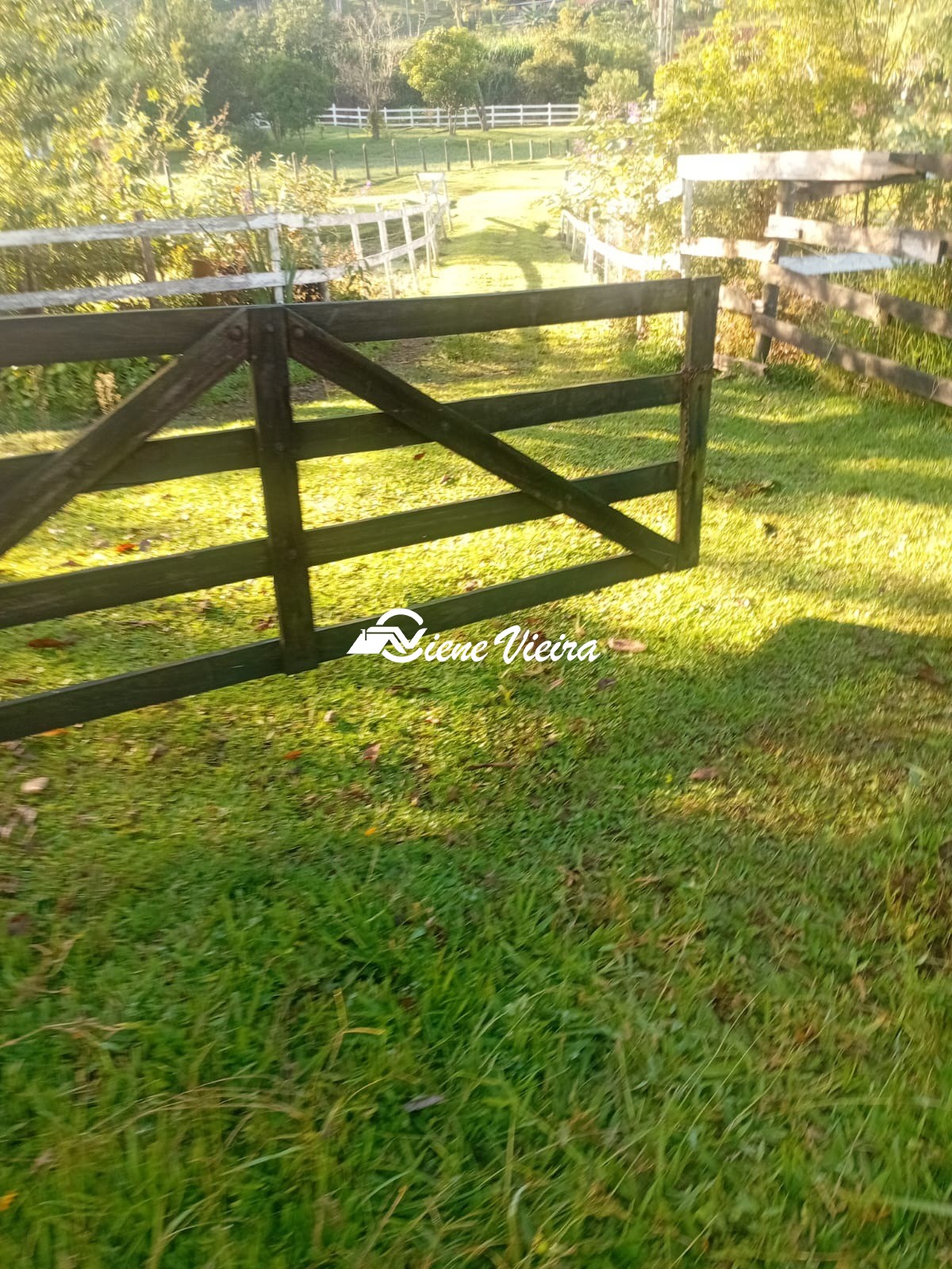 Chácara, 2 quartos, 2 hectares - Foto 4