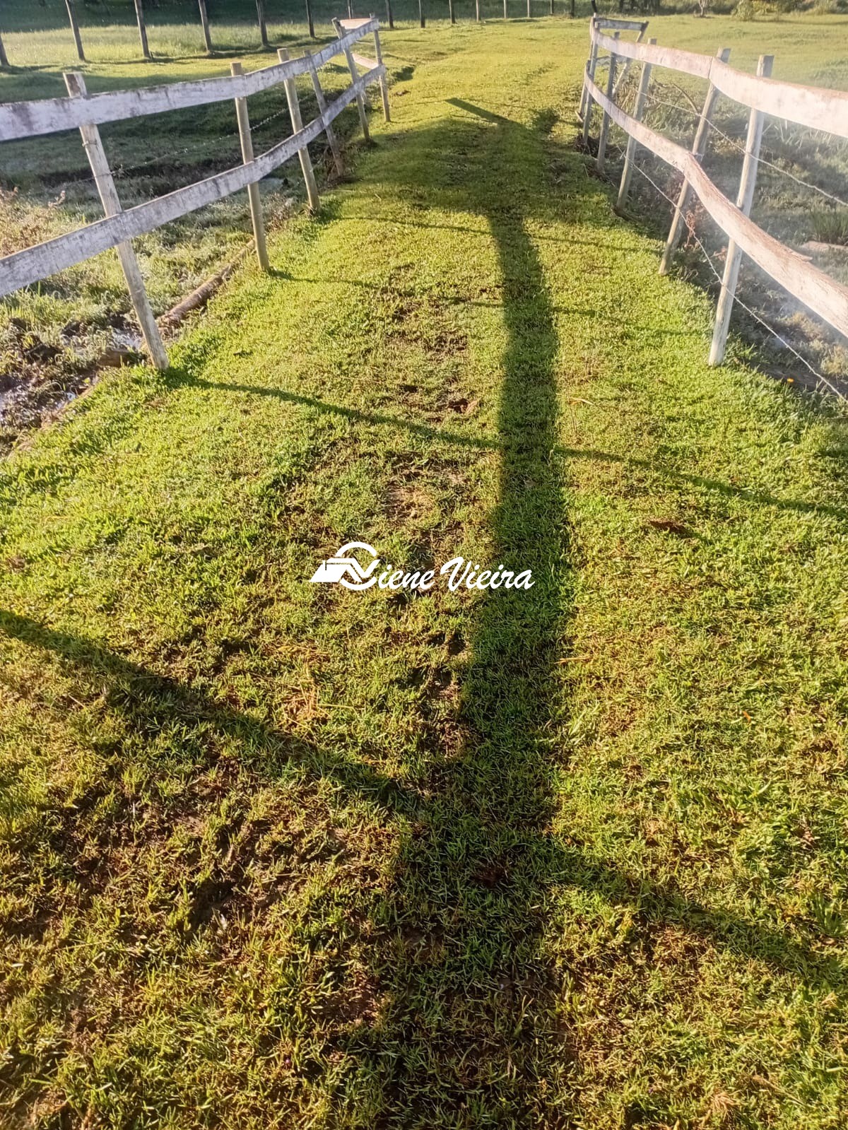 Chácara, 2 quartos, 2 hectares - Foto 48