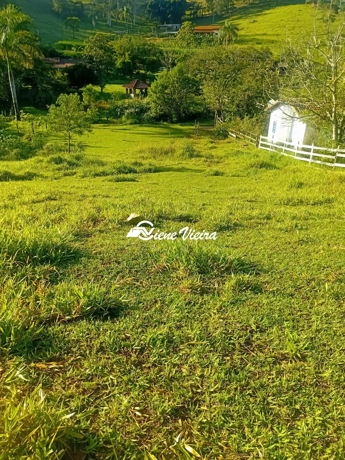 Chácara, 2 quartos, 2 hectares - Foto 3